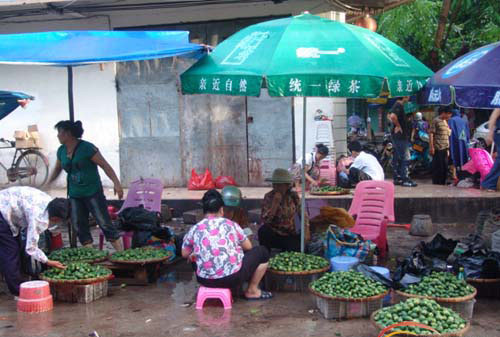 万宁槟榔集市