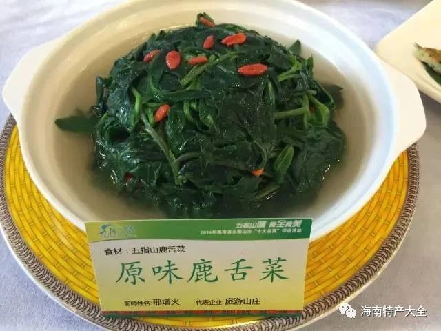 海南鹿舌菜图片