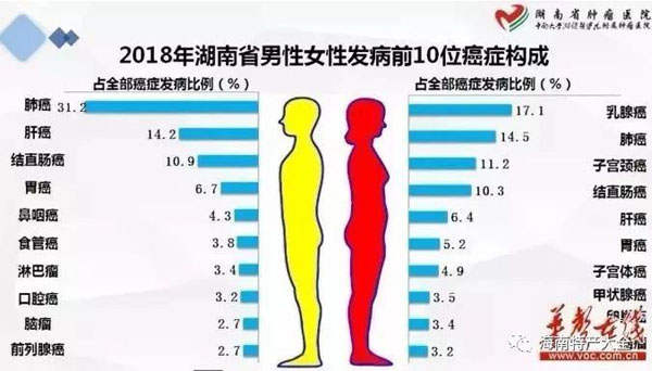 2018年湖南省男性女性发病前10位癌症构成